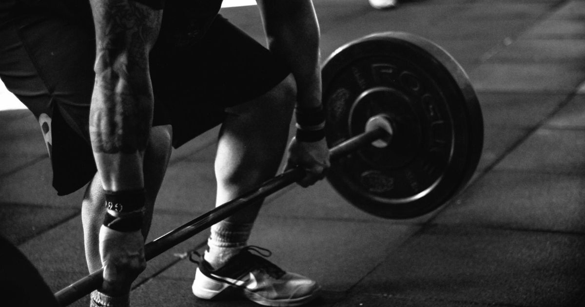 Gym Management Software